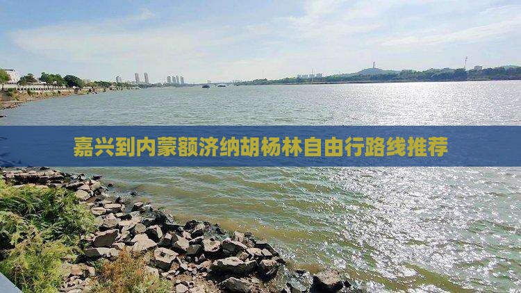 嘉兴到内蒙额济纳胡杨林自由行路线推荐