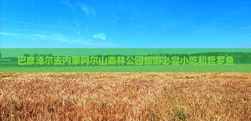 巴彦淖尔去内蒙阿尔山森林公园旅游必尝小吃和哲罗鱼