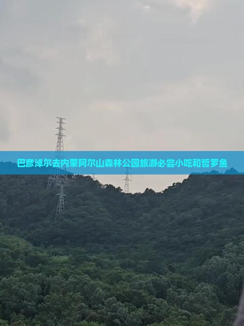 巴彦淖尔去内蒙阿尔山森林公园旅游必尝小吃和哲罗鱼