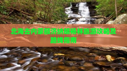 北海去内蒙额济纳胡杨林旅游攻略及路线指南