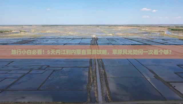旅行小白必看！5天内江到内蒙自驾游攻略，草原风光如何一次看个够？