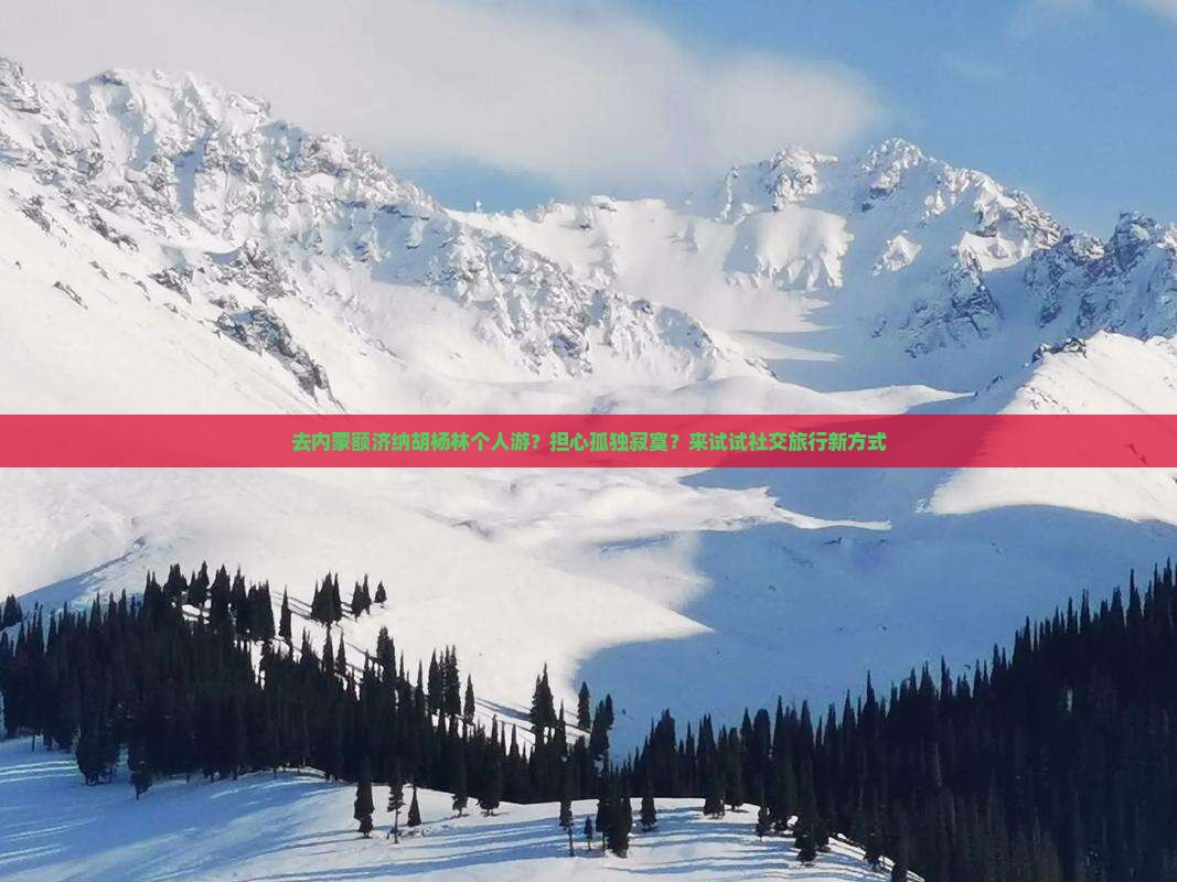 去内蒙额济纳胡杨林个人游？担心孤独寂寞？来试试社交旅行新方式