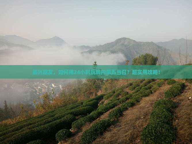 嘉兴朋友，如何用24小时玩转内蒙五当召？超实用攻略！