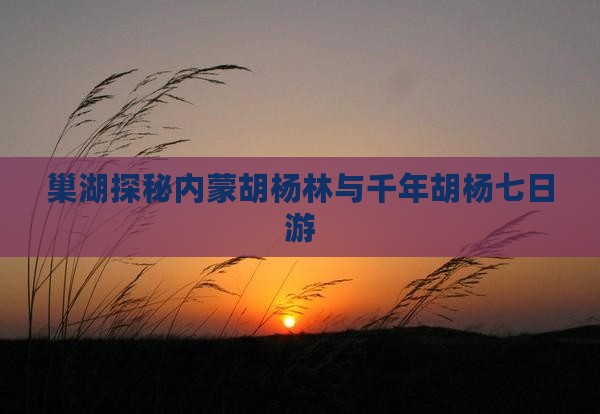 巢湖探秘内蒙胡杨林与千年胡杨七日游