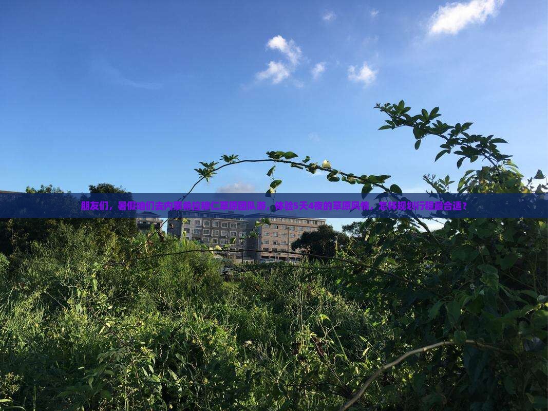 朋友们，暑假咱们去内蒙希拉穆仁草原团队游，体验5天4夜的草原风情，怎样规划行程最合适？