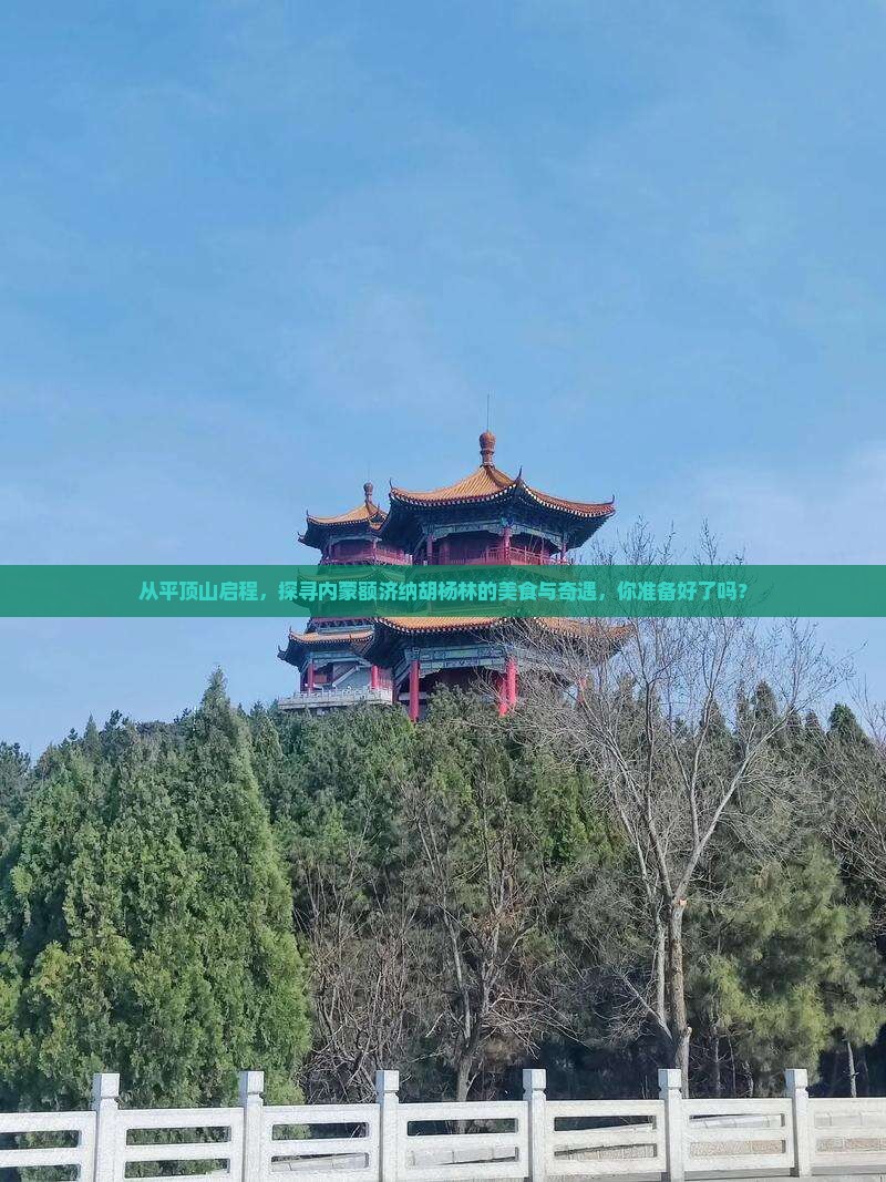 从平顶山启程，探寻内蒙额济纳胡杨林的美食与奇遇，你准备好了吗？