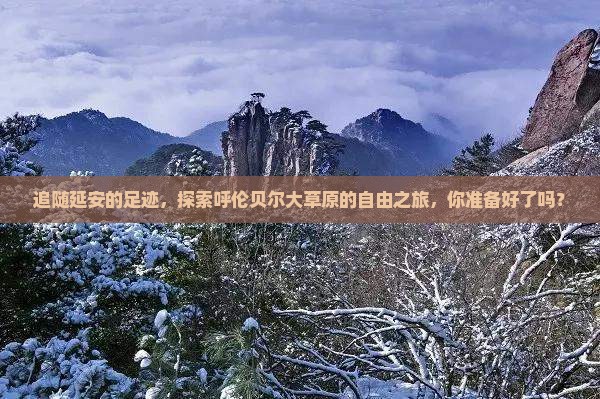 追随延安的足迹，探索呼伦贝尔大草原的自由之旅，你准备好了吗？
