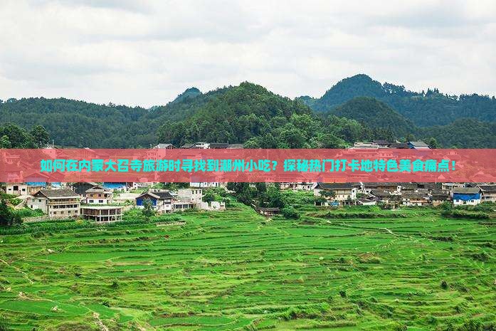 如何在内蒙大召寺旅游时寻找到潮州小吃？探秘热门打卡地特色美食痛点！