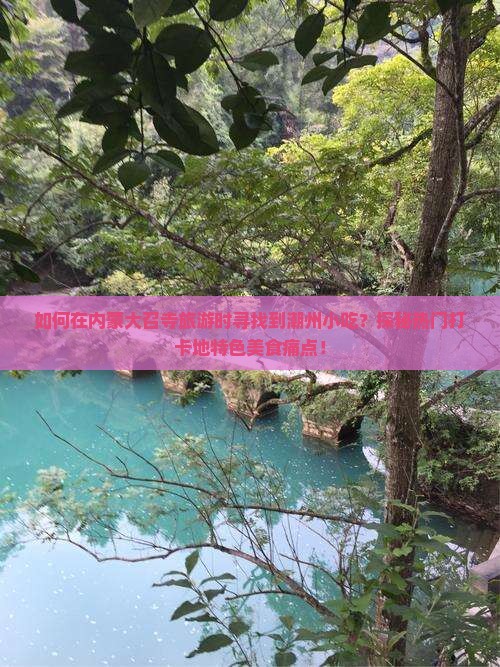 如何在内蒙大召寺旅游时寻找到潮州小吃？探秘热门打卡地特色美食痛点！