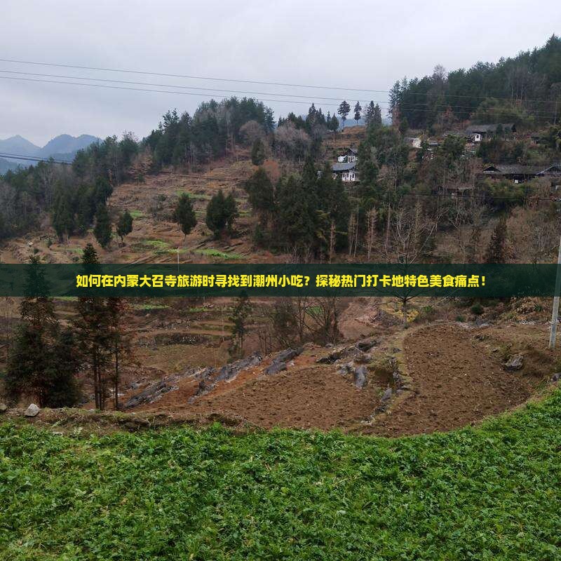 如何在内蒙大召寺旅游时寻找到潮州小吃？探秘热门打卡地特色美食痛点！