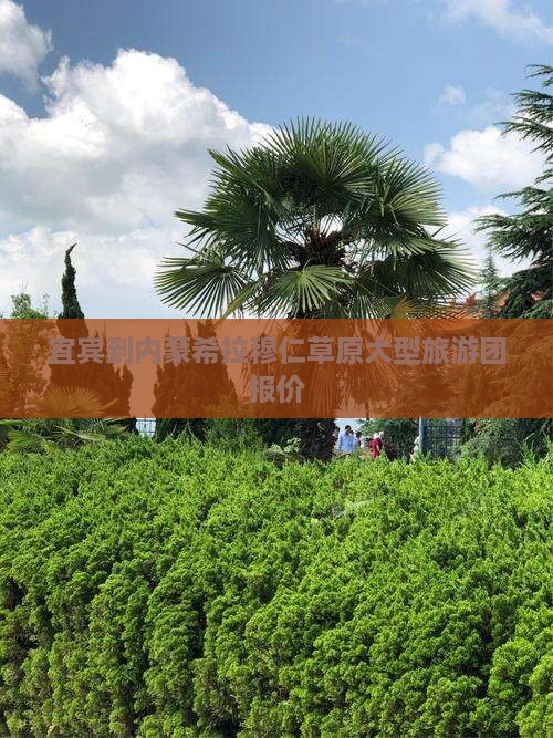宜宾到内蒙希拉穆仁草原大型旅游团报价