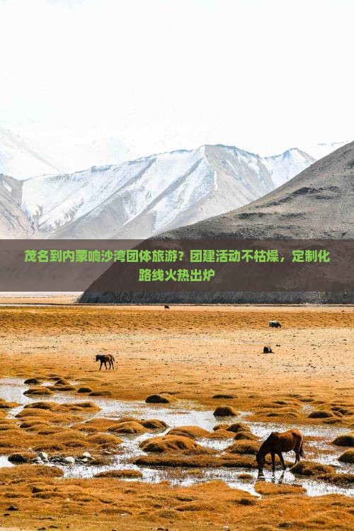 茂名到内蒙响沙湾团体旅游？团建活动不枯燥，定制化路线火热出炉
