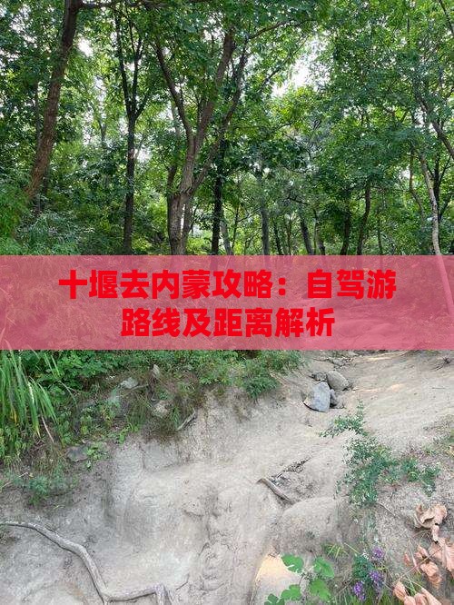 十堰去内蒙攻略：自驾游路线及距离解析