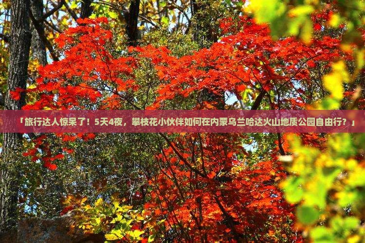 「旅行达人惊呆了！5天4夜，攀枝花小伙伴如何在内蒙乌兰哈达火山地质公园自由行？」