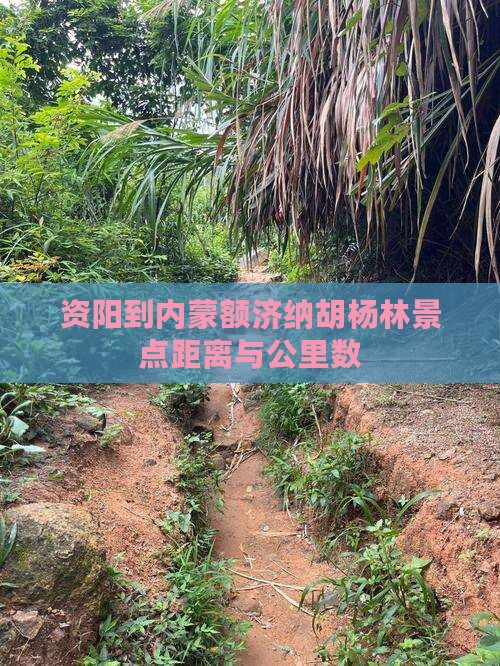 资阳到内蒙额济纳胡杨林景点距离与公里数