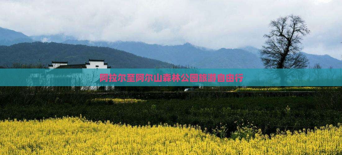 阿拉尔至阿尔山森林公园旅游自由行