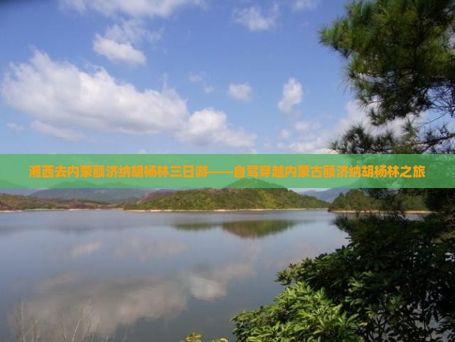 湘西去内蒙额济纳胡杨林三日游——自驾穿越内蒙古额济纳胡杨林之旅