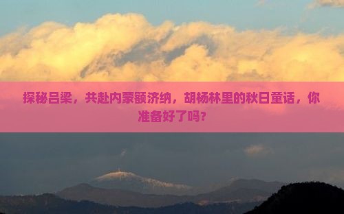 探秘吕梁，共赴内蒙额济纳，胡杨林里的秋日童话，你准备好了吗？