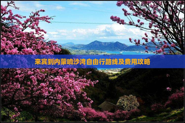 来宾到内蒙响沙湾自由行路线及费用攻略