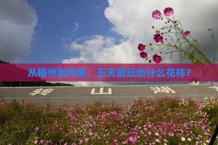 从梧州到内蒙，五天能玩出什么花样？