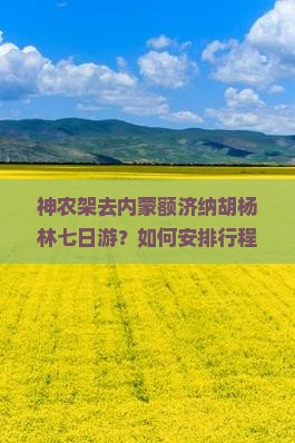 神农架去内蒙额济纳胡杨林七日游？如何安排行程？时间是何时？需要准备什么？