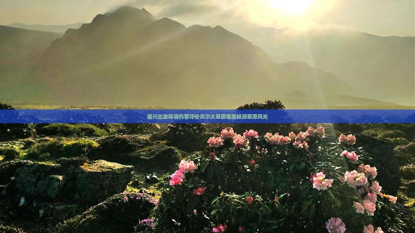 嘉兴出发探寻内蒙呼伦贝尔大草原哪里畅游草原风光