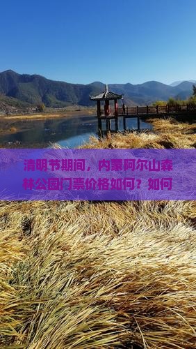 清明节期间，内蒙阿尔山森林公园门票价格如何？如何应对游客高峰？