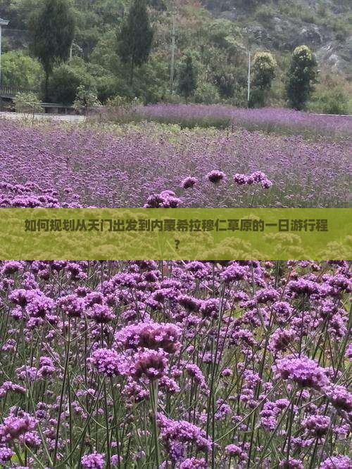 如何规划从天门出发到内蒙希拉穆仁草原的一日游行程？