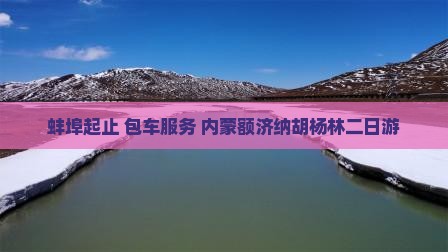 蚌埠起止+包车服务+内蒙额济纳胡杨林二日游