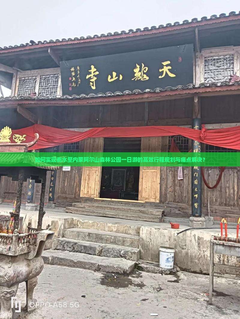 如何实现衡水至内蒙阿尔山森林公园一日游的高效行程规划与痛点解决？