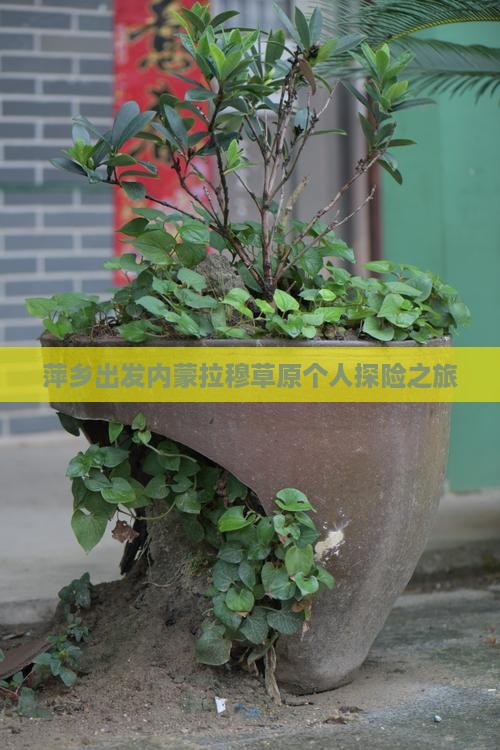 萍乡出发内蒙拉穆草原个人探险之旅