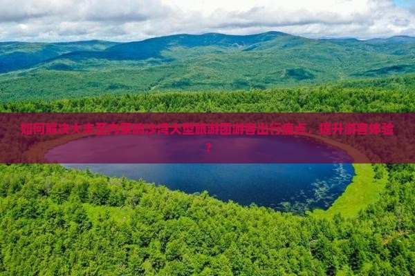 如何解决大丰至内蒙响沙湾大型旅游团游客出行痛点，提升游客体验？
