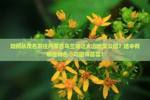 如何从茂名前往内蒙古乌兰哈达火山地质公园？途中有哪些特色小吃值得品尝？
