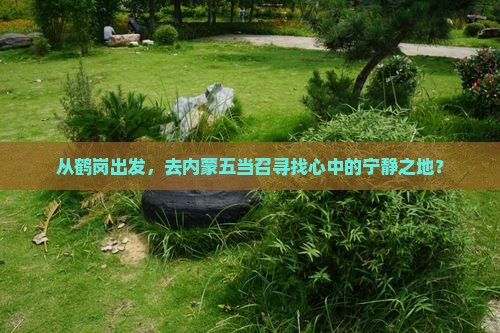 从鹤岗出发，去内蒙五当召寻找心中的宁静之地？