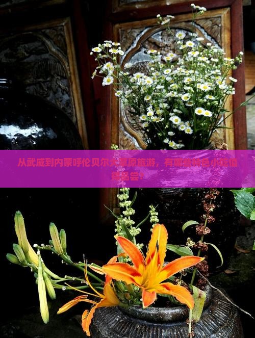 从武威到内蒙呼伦贝尔大草原旅游，有哪些特色小吃值得品尝？
