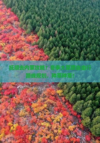 抚顺去内蒙攻略？冬季大草原自由行路线规划，种草种草！