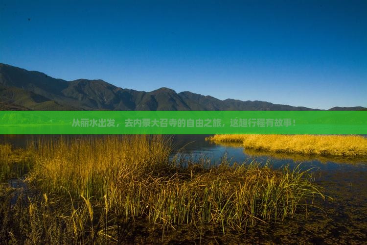 从丽水出发，去内蒙大召寺的自由之旅，这趟行程有故事！