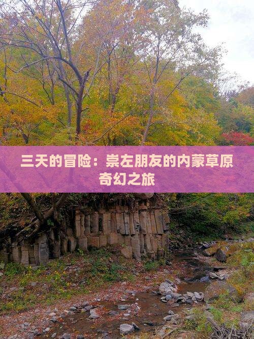 三天的冒险：崇左朋友的内蒙草原奇幻之旅