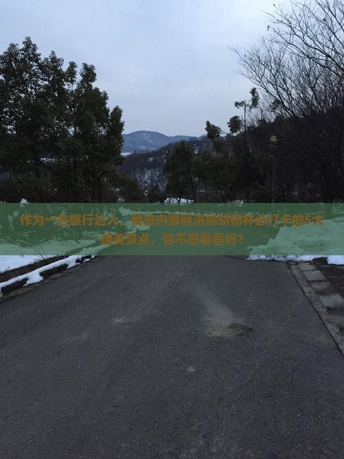 作为一名旅行达人，我去内蒙额济纳胡杨林必打卡的5大绝美景点，你不想看看吗？