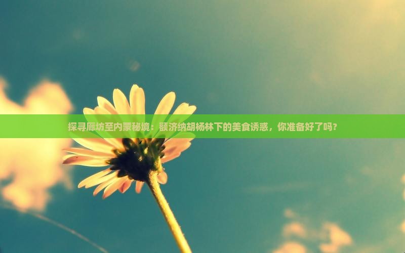探寻廊坊至内蒙秘境：额济纳胡杨林下的美食诱惑，你准备好了吗？