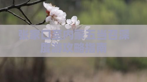 张家口至内蒙五当召深度游攻略指南