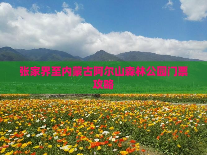 张家界至内蒙古阿尔山森林公园门票攻略