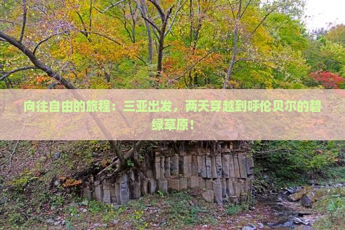 向往自由的旅程：三亚出发，两天穿越到呼伦贝尔的碧绿草原！