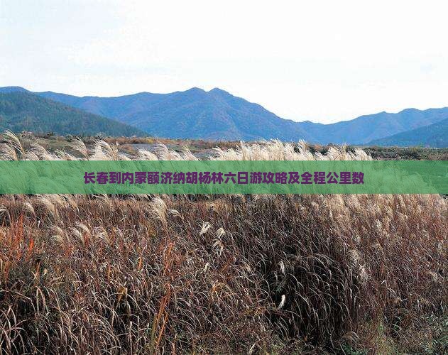 长春到内蒙额济纳胡杨林六日游攻略及全程公里数