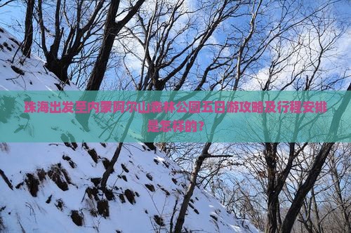 珠海出发至内蒙阿尔山森林公园五日游攻略及行程安排是怎样的？