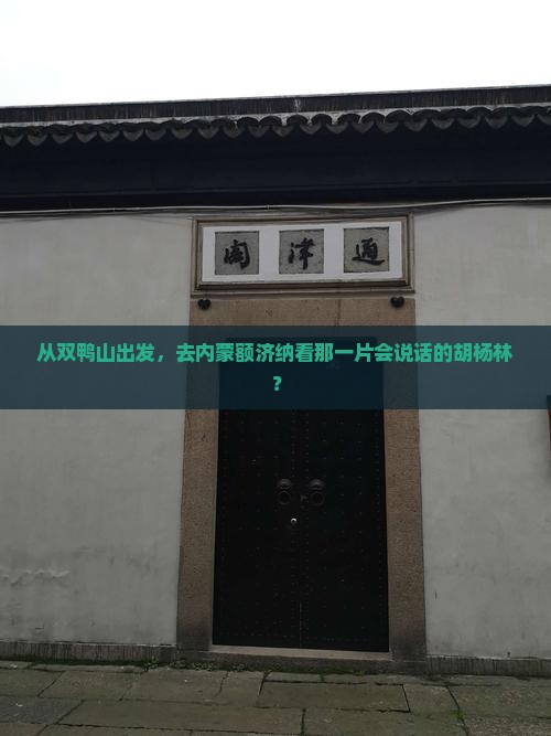 从双鸭山出发，去内蒙额济纳看那一片会说话的胡杨林？