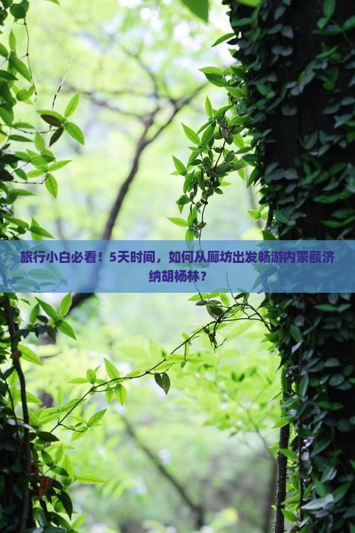 旅行小白必看！5天时间，如何从廊坊出发畅游内蒙额济纳胡杨林？