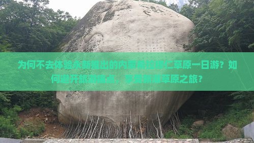 为何不去体验永新推出的内蒙希拉穆仁草原一日游？如何避开旅游痛点，享受新潮草原之旅？