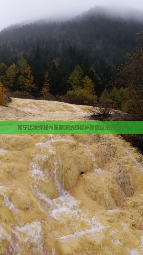南宁出发探秘内蒙额济纳胡杨林深度自由行之旅