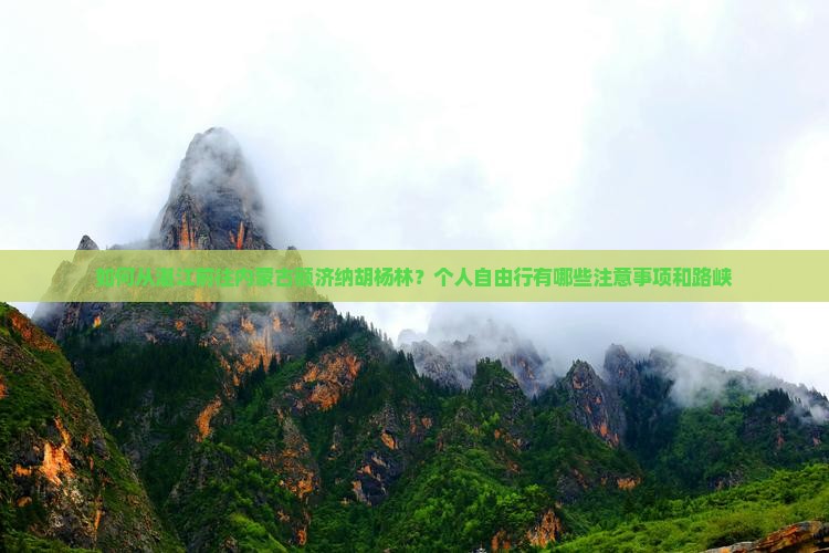 如何从湛江前往内蒙古额济纳胡杨林？个人自由行有哪些注意事项和路峡